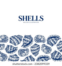 Shell. Hand drawn seashells. Engraving on a marine theme. Vector illustration of tropical, beach shells. For design of cards, banners, backgrounds