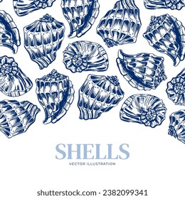 Shell. Hand drawn seashells. Engraving on a marine theme. Vector illustration of tropical, beach shells. For design of cards, banners, backgrounds