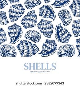 Shell. Hand drawn seashells. Engraving on a marine theme. Vector illustration of tropical, beach shells. For design of cards, banners, backgrounds