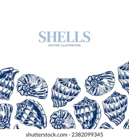 Shell. Hand drawn seashells. Engraving on a marine theme. Vector illustration of tropical, beach shells. For design of cards, banners, backgrounds