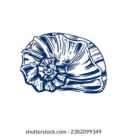 Shell. Hand drawn seashells. Engraving on a marine theme. Vector illustration of tropical, beach shells