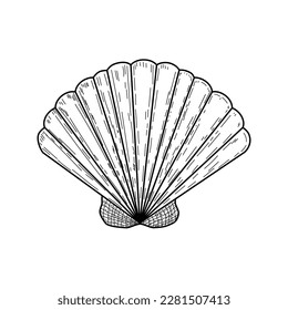 Shell in hand drawn style. Sketch on a white background with strokes. Vector stock illustration. Marine life and animals. isolated

