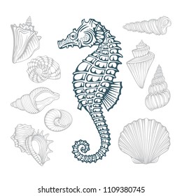 Shell. Hand drawn various beautiful mollusk seashells set.
Seashells sketch style isolated on white background.
Tropical shells underwater icon set.