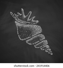 shell icon