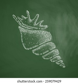 shell icon