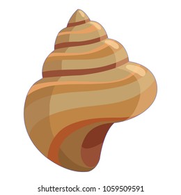 Shell icon. Cartoon illustration of shell vector icon for web