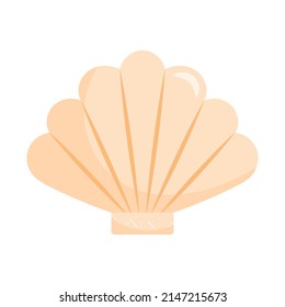 shell icon on white background