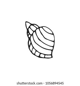 Shell icon in outline style. For web, print and creative design. Vector illustration