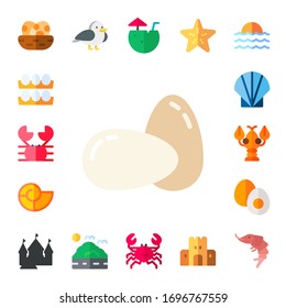 shell icon set. 17 flat shell icons.  Simple modern icons such as: eggs, crab, seashell, lobster, boiled egg, sand castle, seagull, sea, coconut water, starfish, shrimp