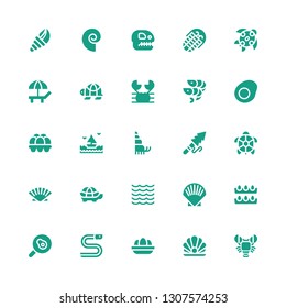 shell icon set. Collection of 25 filled shell icons included Lobster, Pearl, Eggs, Eel, Fried egg, Shell, Sea, Tortoise, Seashell, Turtle, Harpoon, Hermit crab, Egg, Shrimps, Crab