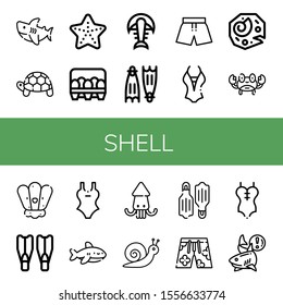 shell icon set. Collection of Shark, Turtle, Starfish, Eggs, Fossil, Flippers, Swimsuit, Crab, Shell, Squid, Snail icons