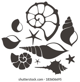 Shell icon set. Sea life sign.  Isolated shalls on white background. Nautilus shell vector. Vintage style