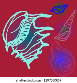 Shell icons set or seashell background.