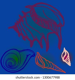 Shell icons set or seashell background.