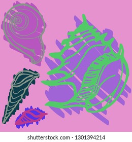 Shell icons set or seashell background.