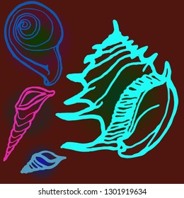 Shell icons set or seashell background.