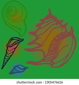 Shell icons set or seashell background.