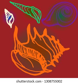 Shell icons set or seashell background.