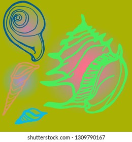 Shell icons set or seashell background.