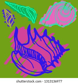 Shell icons set or seashell background.