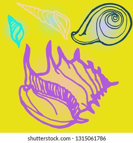Shell icons set or seashell background.