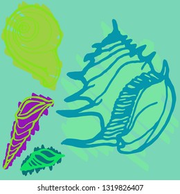 Shell icons set or seashell background.