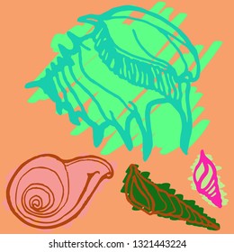 Shell icons set or seashell background.