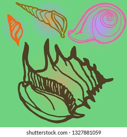 Shell icons set or seashell background.