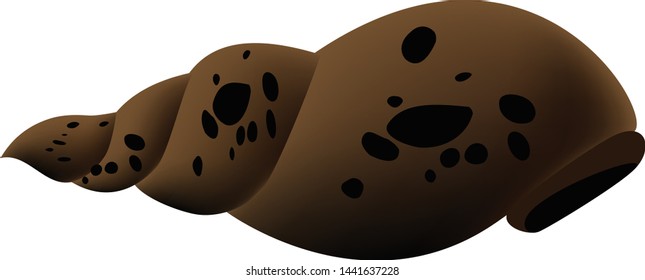 Shell isolated on white background. illustration vector