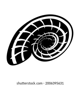 Shell. Aislado en blanco. Mundo submarino. Vector