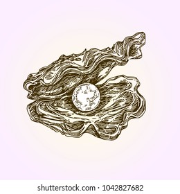 Shell with large pearl. Engraving style. Vector illustration.