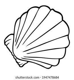 shell line vector illustration,
isolated on white background.top view