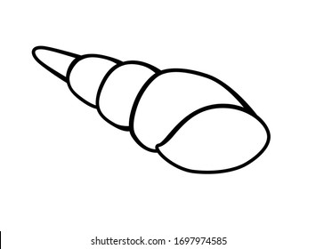 Shell. Long thin spiral shell - vector linear picture for coloring. Mollusk shell - underwater world. Clam is an inhabitant of the ocean. Outline. Hand drawing.