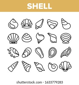 Shell And Marine Conch Collection Icons Set Vector Thin Line. Nature Ocean Shell For Shellfish, Aquatic Decorative Seashell And Cockleshell Concept Linear Pictograms. Monochrome Contour Illustrations