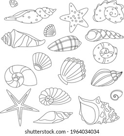 Shell And Marine Conch Collection Icons Set Vector Thin Line. Nature Ocean Shell For Shellfish, Aquatic Decorative Seashell Monochrome Contour Illustrations