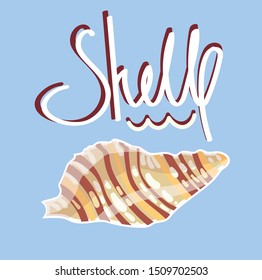 Shell marine theme vector illustration isolated on blue background. Poster, print, sticker, card design. Underwater world, vacations, tourism, home decor.