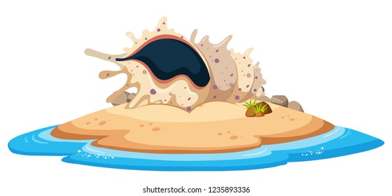 Shell on beach island illustration