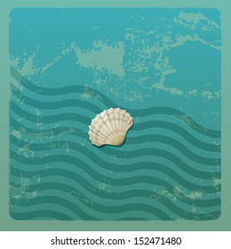 Shell on nautical background, eps10 vector
