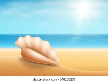 Shell on sand beach, background.