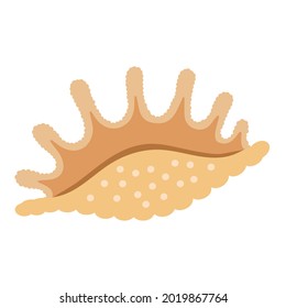 shell on a white background for your menu or design, illustration. Seashell