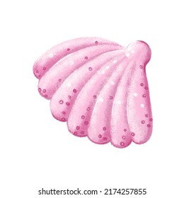 Shell on white  isolated background. Vector illustration
