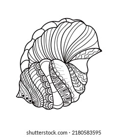 Shell with ornament. Linear black and white illustration.