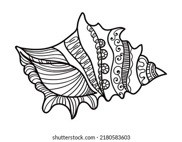 Shell with ornament. Linear black and white illustration.