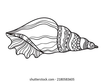 Shell with ornament. Linear black and white illustration.