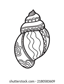 Shell with ornament. Linear black and white illustration.