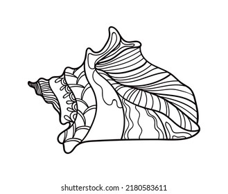 Shell with ornament. Linear black and white illustration.