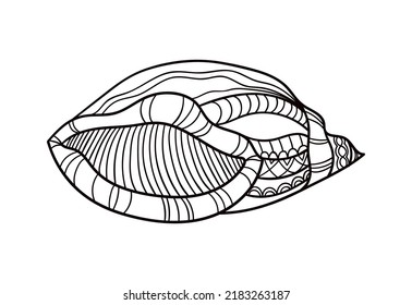 Shell with ornament. Linear black and white illustration.