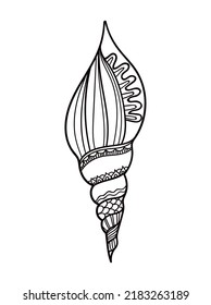 Shell with ornament. Linear black and white illustration.