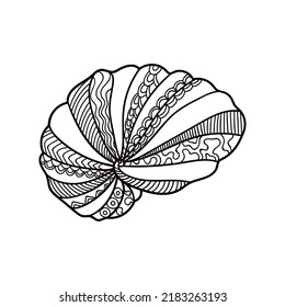 Shell with ornament. Linear black and white illustration.