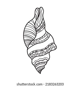 Shell with ornament. Linear black and white illustration.